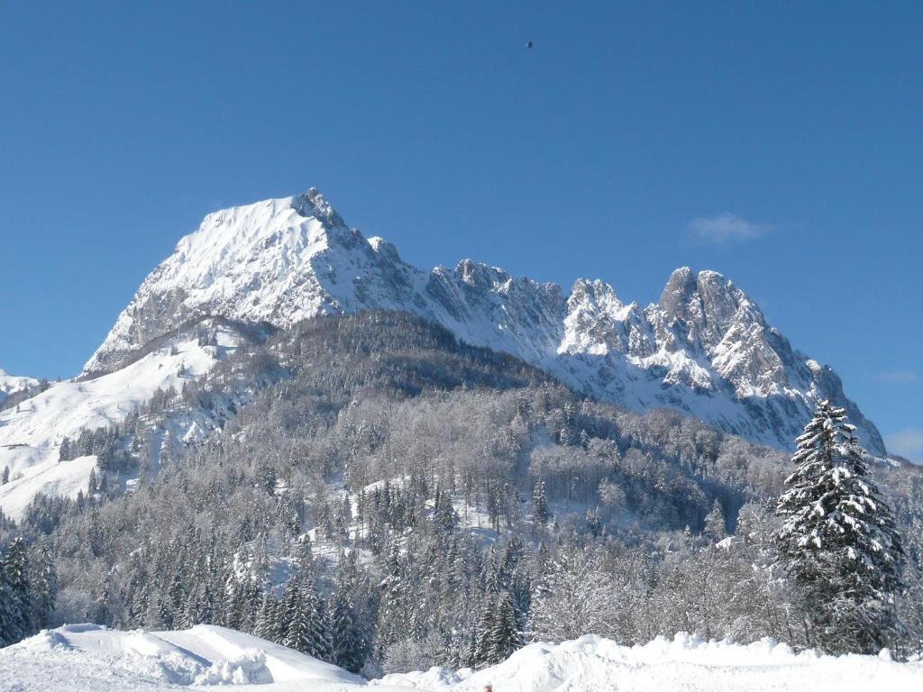 Landhaus Huber Apartment Kirchdorf in Tirol Bagian luar foto