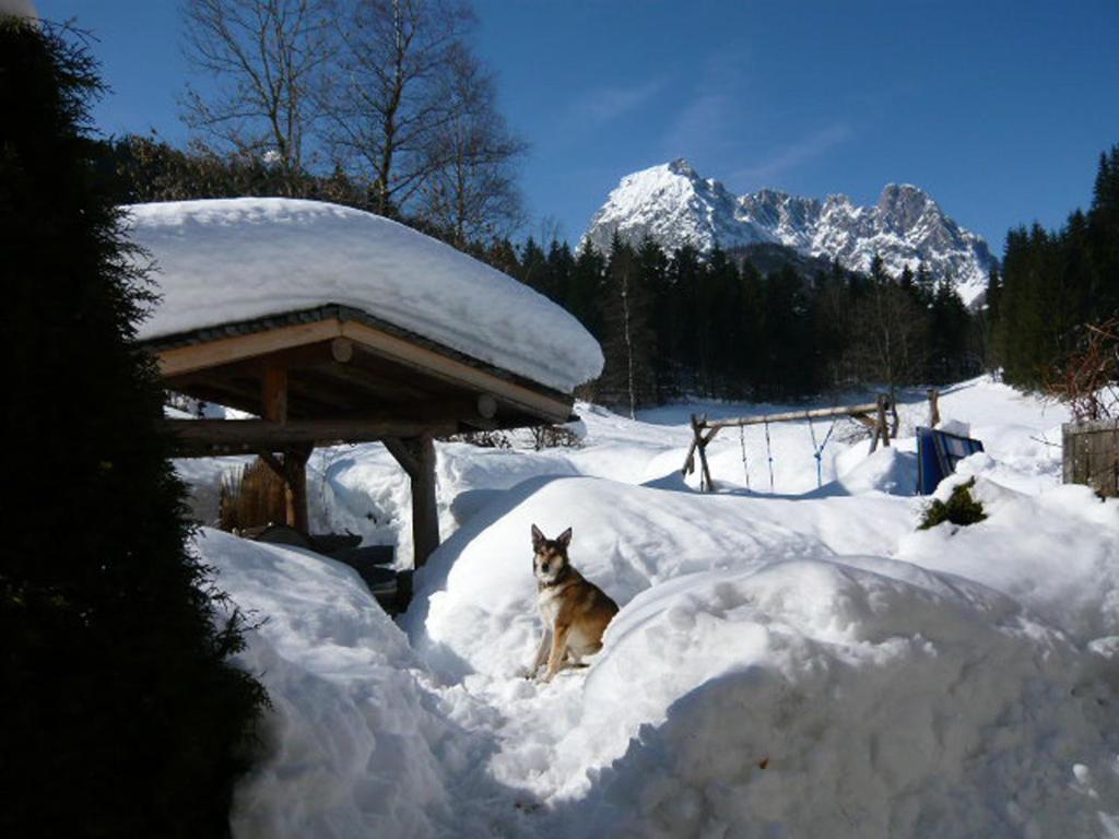 Landhaus Huber Apartment Kirchdorf in Tirol Bagian luar foto